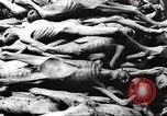 Image of dead bodies Germany, 1945, second 43 stock footage video 65675064121
