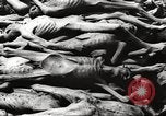 Image of dead bodies Germany, 1945, second 44 stock footage video 65675064121