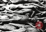 Image of dead bodies Germany, 1945, second 45 stock footage video 65675064121