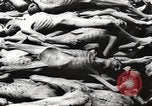 Image of dead bodies Germany, 1945, second 46 stock footage video 65675064121