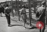 Image of dead bodies Germany, 1945, second 48 stock footage video 65675064121