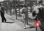 Image of dead bodies Germany, 1945, second 49 stock footage video 65675064121