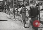 Image of dead bodies Germany, 1945, second 50 stock footage video 65675064121