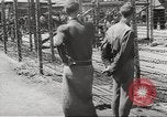 Image of dead bodies Germany, 1945, second 51 stock footage video 65675064121