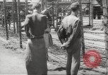 Image of dead bodies Germany, 1945, second 52 stock footage video 65675064121