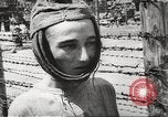Image of dead bodies Germany, 1945, second 54 stock footage video 65675064121