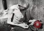 Image of dead bodies Germany, 1945, second 61 stock footage video 65675064121
