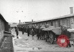 Image of dead bodies Germany, 1945, second 1 stock footage video 65675064122