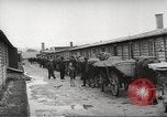 Image of dead bodies Germany, 1945, second 5 stock footage video 65675064122