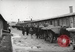 Image of dead bodies Germany, 1945, second 6 stock footage video 65675064122