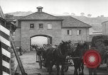 Image of dead bodies Germany, 1945, second 7 stock footage video 65675064122