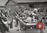 Image of dead bodies Germany, 1945, second 32 stock footage video 65675064122