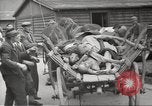 Image of dead bodies Germany, 1945, second 33 stock footage video 65675064122