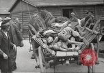 Image of dead bodies Germany, 1945, second 34 stock footage video 65675064122