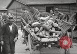Image of dead bodies Germany, 1945, second 35 stock footage video 65675064122