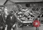 Image of dead bodies Germany, 1945, second 36 stock footage video 65675064122