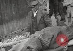 Image of dead bodies Germany, 1945, second 41 stock footage video 65675064122