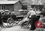 Image of dead bodies Germany, 1945, second 43 stock footage video 65675064122