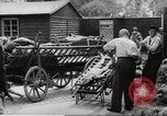 Image of dead bodies Germany, 1945, second 45 stock footage video 65675064122