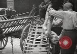 Image of dead bodies Germany, 1945, second 50 stock footage video 65675064122