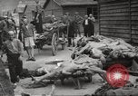 Image of dead bodies Germany, 1945, second 52 stock footage video 65675064122