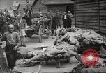Image of dead bodies Germany, 1945, second 53 stock footage video 65675064122