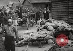 Image of dead bodies Germany, 1945, second 54 stock footage video 65675064122