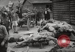 Image of dead bodies Germany, 1945, second 55 stock footage video 65675064122