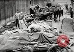 Image of dead bodies Germany, 1945, second 57 stock footage video 65675064122