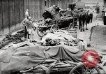Image of dead bodies Germany, 1945, second 61 stock footage video 65675064122