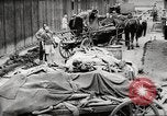 Image of dead bodies Germany, 1945, second 62 stock footage video 65675064122