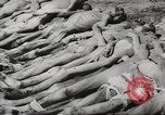Image of dead bodies Germany, 1945, second 19 stock footage video 65675064123