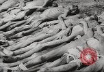 Image of dead bodies Germany, 1945, second 20 stock footage video 65675064123