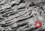Image of dead bodies Germany, 1945, second 21 stock footage video 65675064123