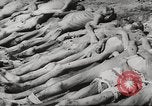 Image of dead bodies Germany, 1945, second 22 stock footage video 65675064123