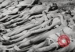 Image of dead bodies Germany, 1945, second 23 stock footage video 65675064123