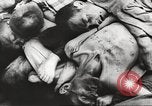 Image of dead bodies Germany, 1945, second 43 stock footage video 65675064123