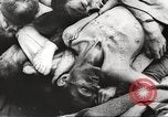 Image of dead bodies Germany, 1945, second 45 stock footage video 65675064123