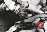 Image of dead bodies Germany, 1945, second 48 stock footage video 65675064123