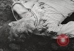 Image of dead bodies Germany, 1945, second 59 stock footage video 65675064123