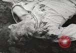 Image of dead bodies Germany, 1945, second 62 stock footage video 65675064123