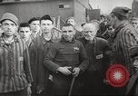 Image of Buchenwald Concentration Camp Germany, 1945, second 46 stock footage video 65675064124