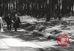 Image of Buchenwald Concentration Camp atrocities Germany, 1945, second 8 stock footage video 65675064125