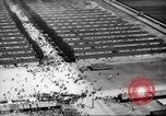 Image of Dachau Concentration Camp Germany, 1945, second 32 stock footage video 65675064126