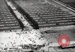 Image of Dachau Concentration Camp Germany, 1945, second 33 stock footage video 65675064126