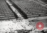 Image of Dachau Concentration Camp Germany, 1945, second 34 stock footage video 65675064126
