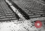 Image of Dachau Concentration Camp Germany, 1945, second 36 stock footage video 65675064126