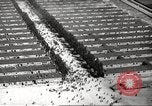 Image of Dachau Concentration Camp Germany, 1945, second 37 stock footage video 65675064126