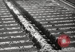 Image of Dachau Concentration Camp Germany, 1945, second 40 stock footage video 65675064126