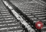 Image of Dachau Concentration Camp Germany, 1945, second 41 stock footage video 65675064126